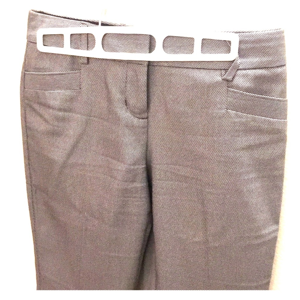 Columnist Express Slacks Small Print